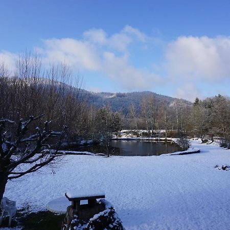 La Maison Et L'Etang - Grand Terrain Prive Vagney Kültér fotó