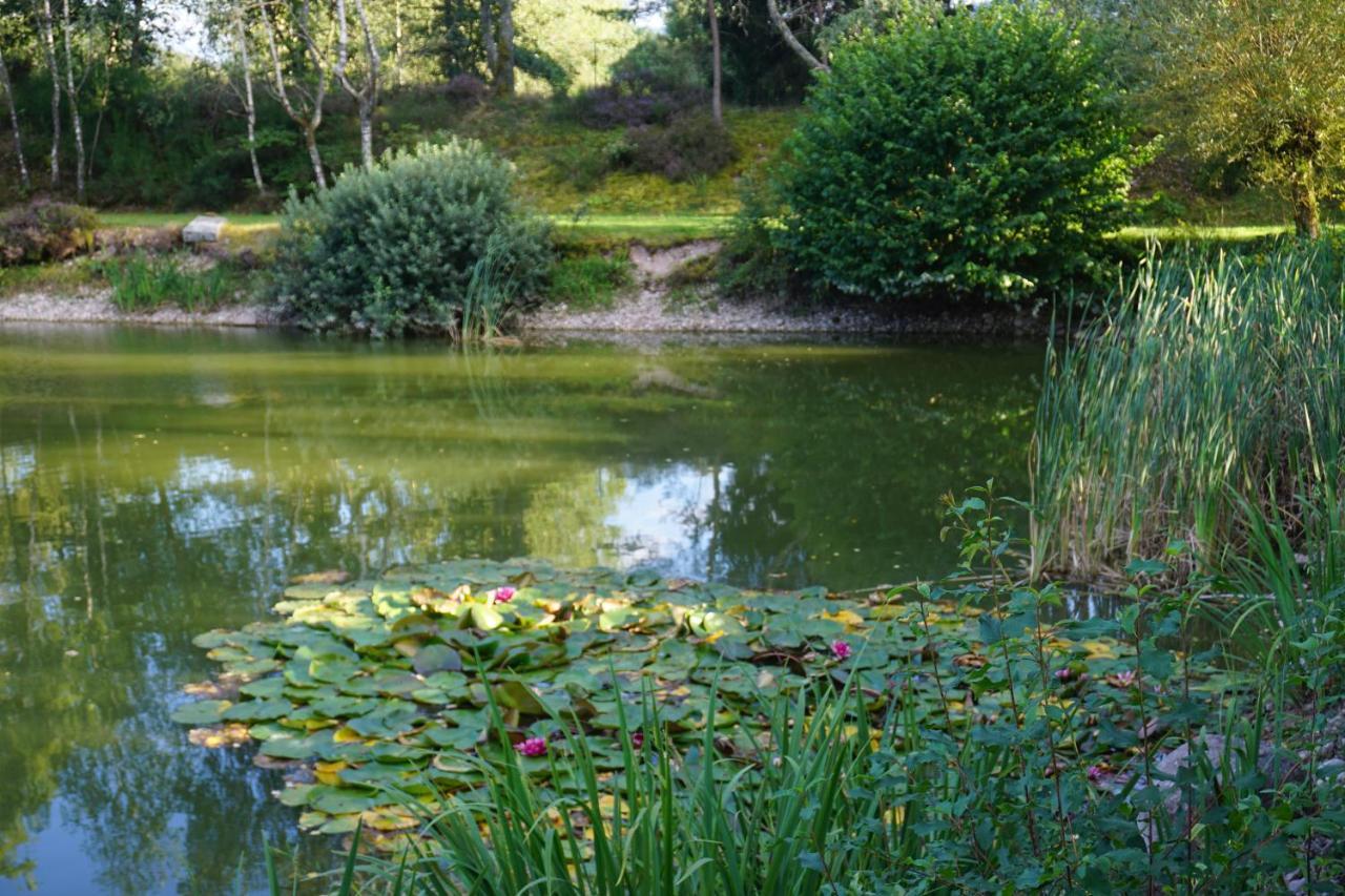 La Maison Et L'Etang - Grand Terrain Prive Vagney Kültér fotó