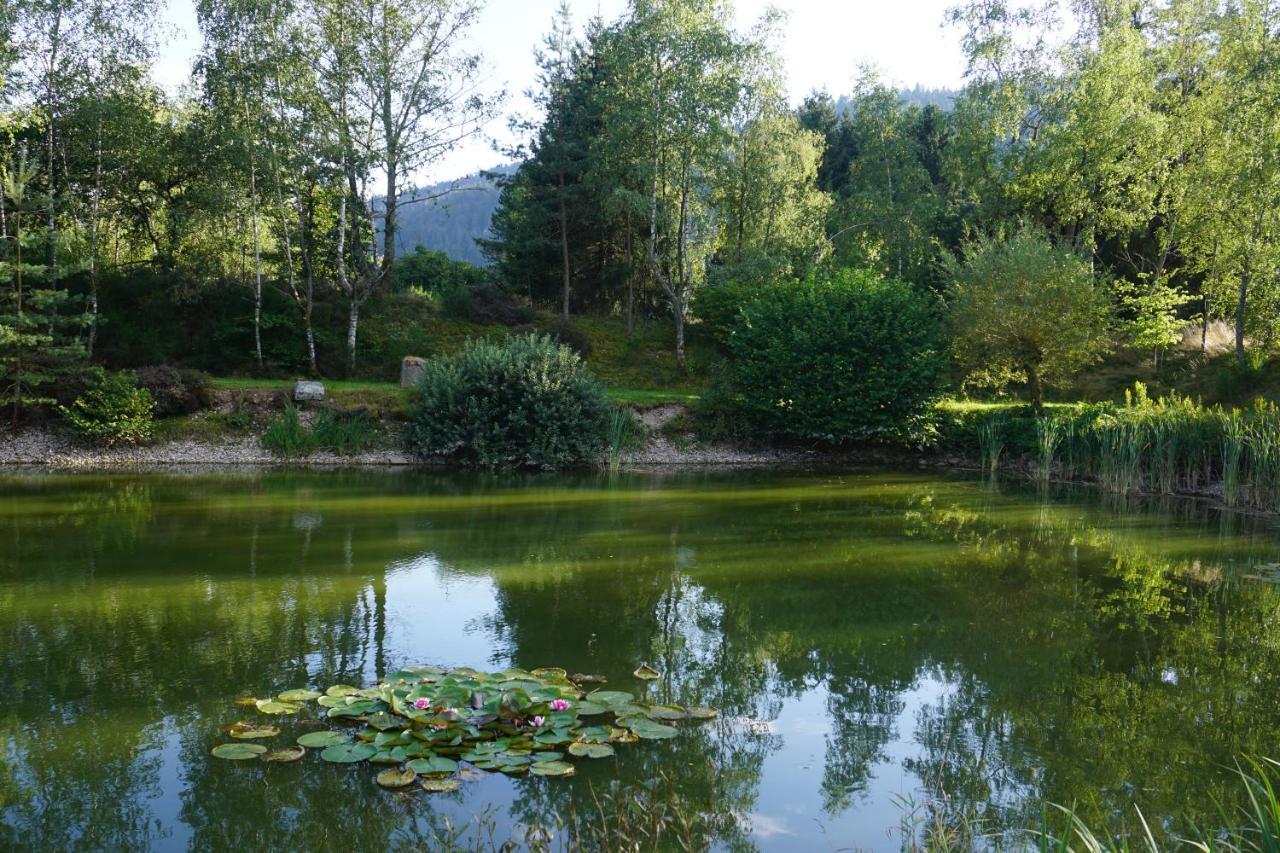 La Maison Et L'Etang - Grand Terrain Prive Vagney Kültér fotó