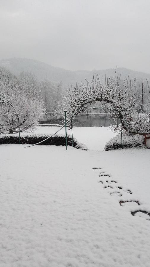 La Maison Et L'Etang - Grand Terrain Prive Vagney Kültér fotó