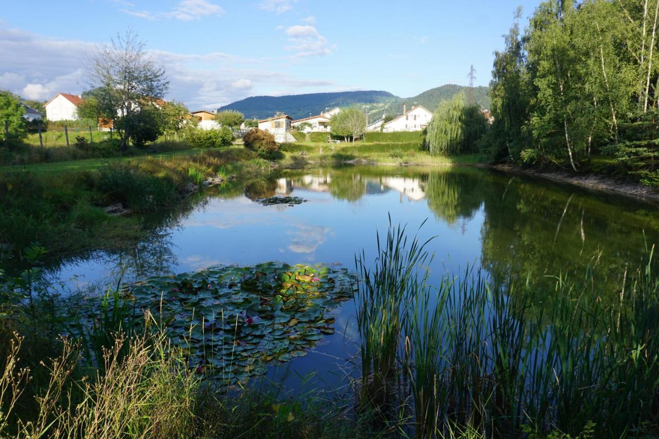 La Maison Et L'Etang - Grand Terrain Prive Vagney Kültér fotó