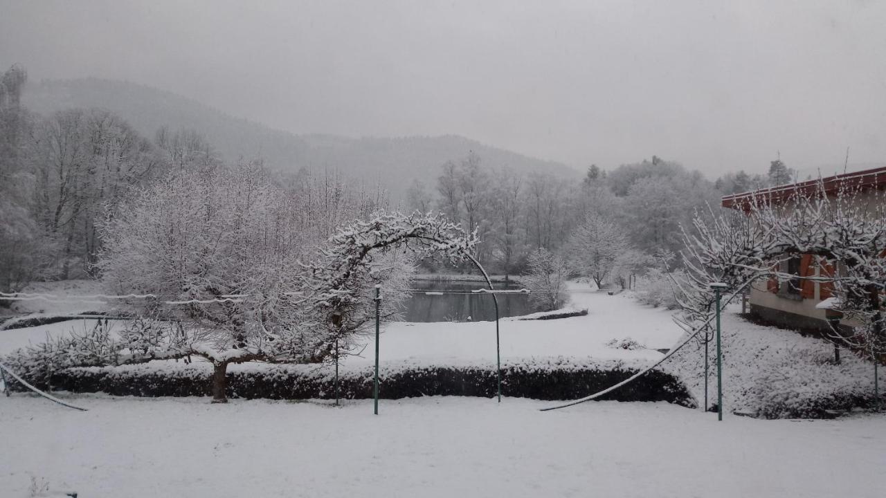 La Maison Et L'Etang - Grand Terrain Prive Vagney Kültér fotó