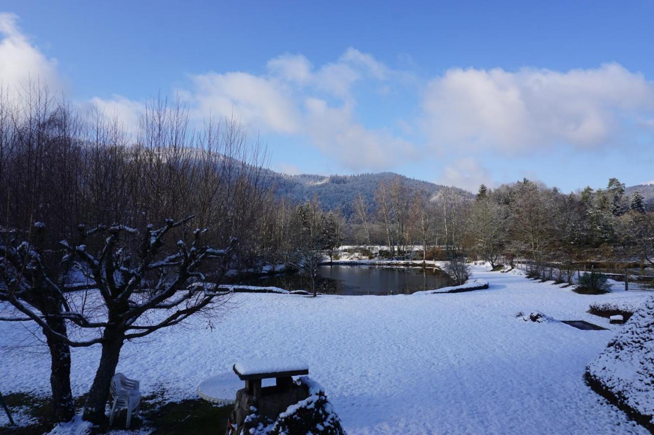 La Maison Et L'Etang - Grand Terrain Prive Vagney Kültér fotó
