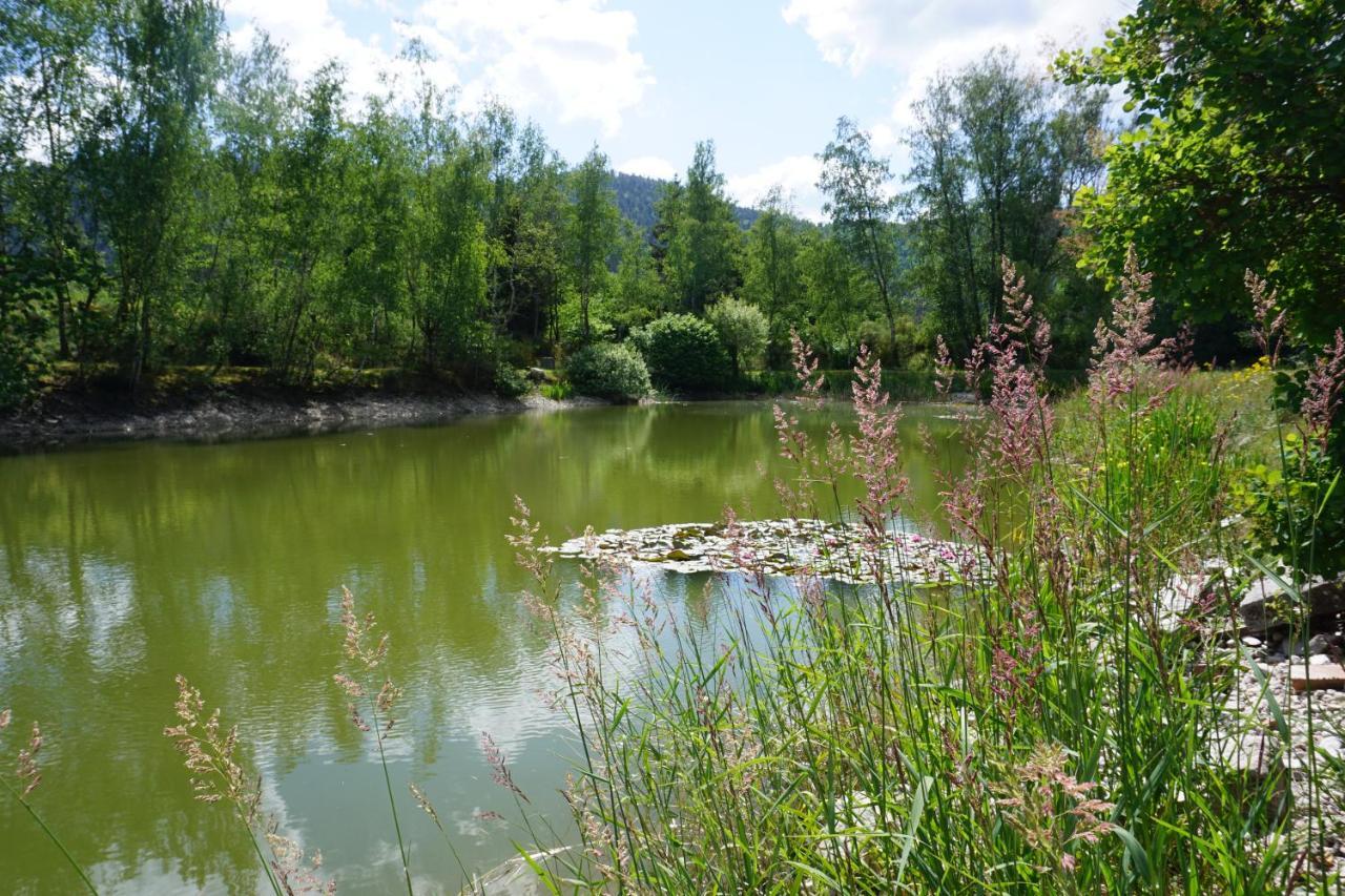 La Maison Et L'Etang - Grand Terrain Prive Vagney Kültér fotó